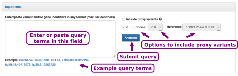 Input form